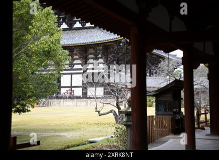 Landschaft mit malerischem Blick auf Tamukeyama Hachimangū, einen Shinto-Schrein und historisches Wahrzeichen in der Nähe von Tōdai-JI in Nara, Kansai Japan. Stockfoto