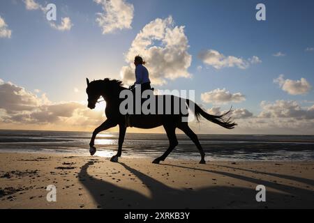 Niedersachsen, Langeoog, Wetter, Hitze, Reiter am Strand im Sonnenuntergang, Nordsee, Pferd, Pferde, reiten, insel, am Meer, Reiterin, *** Niedersachsen, Langeoog, Wetter, Hitze, Reiter am Strand bei Sonnenuntergang, Nordsee, Pferd, Pferde, Reiten, Insel, am Meer, Reiterin, Stockfoto