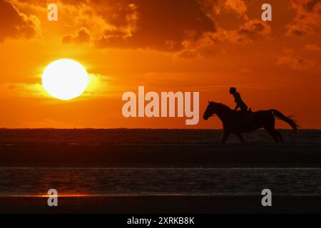 Niedersachsen, Langeoog, Wetter, Hitze, Reiter am Strand im Sonnenuntergang, Nordsee, Pferd, Pferde, reiten, insel, am Meer, Reiterin, *** Niedersachsen, Langeoog, Wetter, Hitze, Reiter am Strand bei Sonnenuntergang, Nordsee, Pferd, Pferde, Reiten, Insel, am Meer, Reiterin, Stockfoto