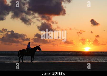 Niedersachsen, Langeoog, Wetter, Hitze, Reiter am Strand im Sonnenuntergang, Nordsee, Pferd, Pferde, reiten, insel, am Meer, Reiterin, *** Niedersachsen, Langeoog, Wetter, Hitze, Reiter am Strand bei Sonnenuntergang, Nordsee, Pferd, Pferde, Reiten, Insel, am Meer, Reiterin, Stockfoto