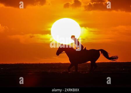 Niedersachsen, Langeoog, Wetter, Hitze, Reiter am Strand im Sonnenuntergang, Nordsee, Pferd, Pferde, reiten, insel, am Meer, Reiterin, *** Niedersachsen, Langeoog, Wetter, Hitze, Reiter am Strand bei Sonnenuntergang, Nordsee, Pferd, Pferde, Reiten, Insel, am Meer, Reiterin, Stockfoto