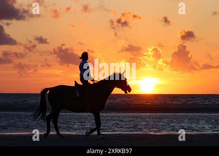 Niedersachsen, Langeoog, Wetter, Hitze, Reiter am Strand im Sonnenuntergang, Nordsee, Pferd, Pferde, reiten, insel, am Meer, Reiterin, *** Niedersachsen, Langeoog, Wetter, Hitze, Reiter am Strand bei Sonnenuntergang, Nordsee, Pferd, Pferde, Reiten, Insel, am Meer, Reiterin, Stockfoto