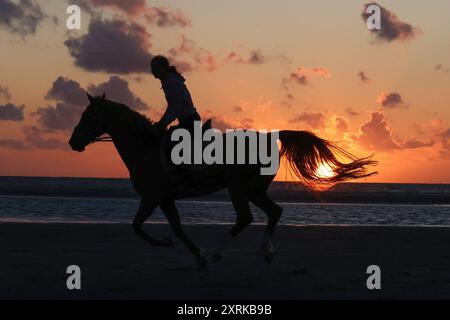 Niedersachsen, Langeoog, Wetter, Hitze, Reiter am Strand im Sonnenuntergang, Nordsee, Pferd, Pferde, reiten, insel, am Meer, Reiterin, *** Niedersachsen, Langeoog, Wetter, Hitze, Reiter am Strand bei Sonnenuntergang, Nordsee, Pferd, Pferde, Reiten, Insel, am Meer, Reiterin, Stockfoto