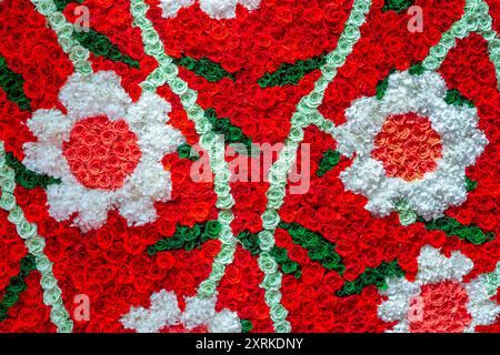 Die Textur natürlicher, mehrfarbiger Rosen. Zusammensetzung der Rosen. Der florale Hintergrund verschiedener Rosen. Stockfoto