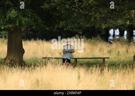 Stroud, UK, 11. August 2024. Sehr warmer Morgen mit Temperaturen, die tagsüber in Stroud, Gloucestershire steigen. Quelle: Gary Learmonth / Alamy Live News Stockfoto