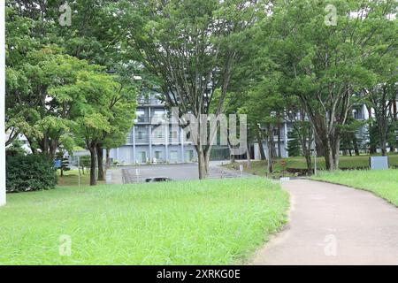 August 2024. Sendai, Präfektur Miyagi, Japan. Tohoku University Aobayama Campus. Stockfoto