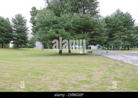 August 2024. Sendai, Präfektur Miyagi, Japan. Tohoku University Aobayama Campus. Stockfoto