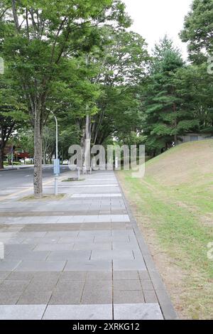 August 2024. Sendai, Präfektur Miyagi, Japan. Tohoku University Aobayama Campus. Stockfoto