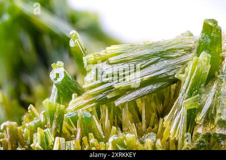 Grüner Pyromorphit aus La Mine des Farges, Ussel, Frankreich. Makrofotografie Detail Textur Hintergrund. Nahaufnahme Mineralkristall unpolierte Halbpräzision Stockfoto