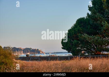 Die atemberaubende Schönheit der Playa de la Ladeira in Baiona bei Sonnenaufgang. Wenn die Sonne aufgeht, taucht ihr goldenes Licht den Sandstrand und das ruhige Wasser und schafft so Stockfoto