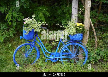 Bild eines blau lackierten Fahrrads auf dem Havelweg bei Steckelsdorf (Upcycling). Dieses lackierte Fahrrad wird als Markierung auf t verwendet Stockfoto