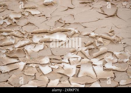 Hochauflösendes Bild, das eine detaillierte Ansicht einer getrockneten und tief zerrissenen Wüstensandoberfläche zeigt und natürliche Erdmuster hervorhebt Stockfoto