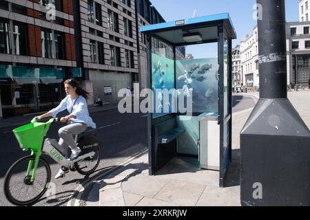 London, Großbritannien. August 2024. Am Sonntag, den 11. August 2024, machen die Leute Fotos von dem siebten neuen Kunstwerk des Street-Künstlers Banksy, das Piranha-Fische auf einer Polizeiwache in Ludgate Hill, City of London, London, England, zeigt. Foto: Justin ng/Alamy Live News Stockfoto