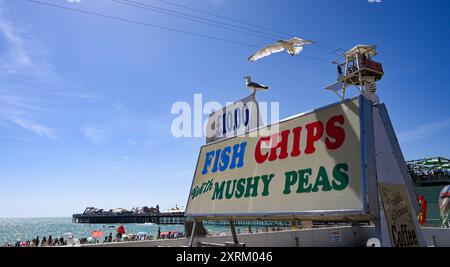 Brighton UK 11. August 2024 - Seagulls hoffen auf Fish and Chips an einem schönen sonnigen Tag an der Küste von Brighton, da die Temperaturen in einigen Teilen Großbritanniens voraussichtlich 30 Grad erreichen werden: Credit Simon Dack / Alamy Live News Stockfoto