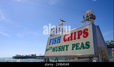 Brighton UK 11. August 2024 - Seagulls hoffen auf Fish and Chips an einem schönen sonnigen Tag an der Küste von Brighton, da die Temperaturen in einigen Teilen Großbritanniens voraussichtlich 30 Grad erreichen werden: Credit Simon Dack / Alamy Live News Stockfoto