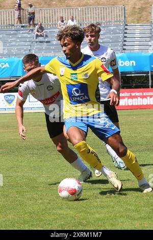 Wien, Österreich. August 2024. WIEN, ÖSTERREICH - 11. AUGUST: Joel Kitenge von Wien hat den Ballsaal Admiral 2. Liga-Spiel zwischen First Vienna FC 1894 und Admira Wacker in der Naturarena hohe Warte am 11. August 2024 in Wien.240811 SEPA 29 057 - 20240811 PD7837 Credit: APA-PictureDesk/Alamy Live News Stockfoto