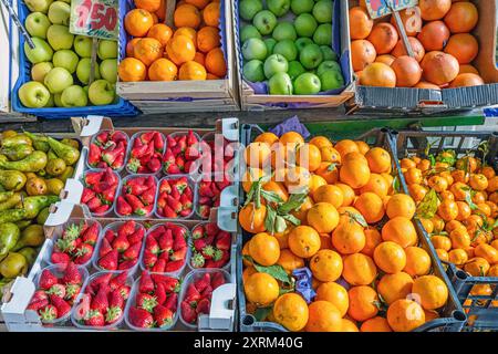 Farbenfrohe Ladenpräsentation mit Früchten, die auf einem Markt in Italien zu sehen sind Stockfoto