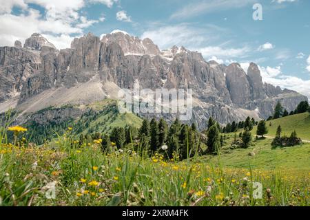 Blick vom Grödnerpass auf die großen Dolomitberge der Sellagruppe im Sommer in Italien. Stockfoto