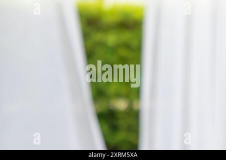 Abstraktes unscharfes Vorhangfenster mit grünem Gartenhintergrund Stockfoto