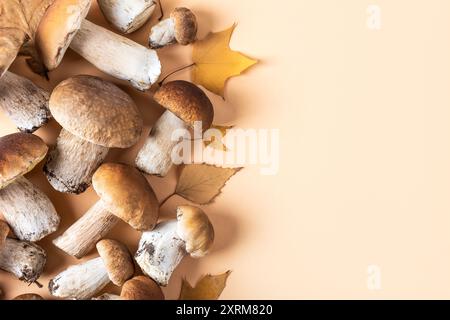 Frische ungeschälte Steinpilze im Wald und gelbe Blätter auf dem Tisch. Ernte von frischem kep. Essen, Design, Herbst. Naturkonzept. Flache Lage, Draufsicht Stockfoto