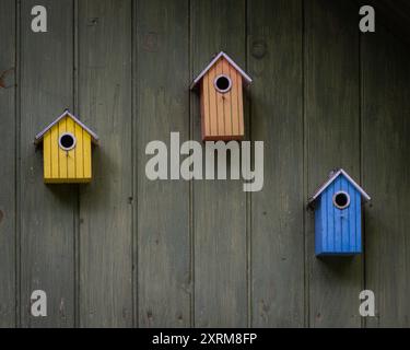 Holzdiele Wand Textur Hintergrund. Farbenfrohe Vogelhäuser hängen an einer Holzwand. Stockfoto