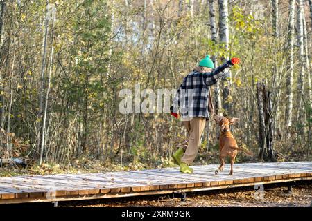 Fröhliche Frau mit Jagdhund, die entlang des Öko-Weges durch dichten Herbstwald, Dickicht. Stockfoto