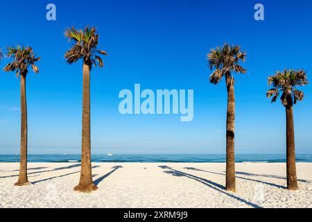 Palmen am schönen Clearwater Beach am frühen Morgen in Clearwater, Florida, USA Stockfoto