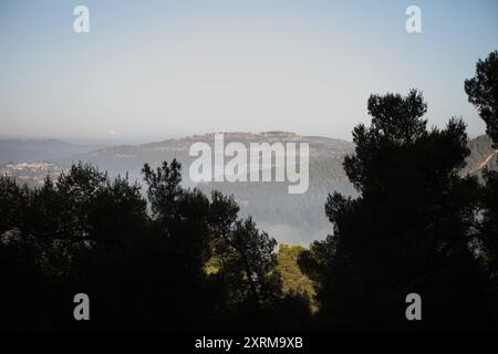 Das Judäische Gebirge bedeckt mit Nadelbäumen, vom Nadelwald aus gesehen, während Morgennebel die Berge und Täler bedeckt Stockfoto