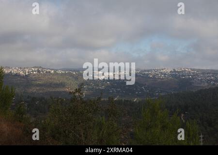 Mevaseret Tzion und die judäischen Berge, die mit Nadelbäumen bedeckt sind, vom Nadelwald aus gesehen, während Nebel die Hügel und Täler bedeckt Stockfoto