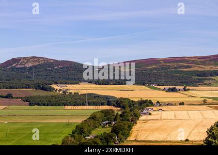 Dundee, Tayside, Schottland, Großbritannien. August 2024. Wetter in Großbritannien: Die warme August-Sonne bietet einen herrlichen Blick auf Dundee Sidlaw Hills und Strathmore Valley in Schottland. Quelle: Dundee Photographics/Alamy Live News Stockfoto