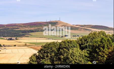 Dundee, Tayside, Schottland, Großbritannien. August 2024. Wetter in Großbritannien: Die warme August-Sonne bietet einen herrlichen Blick auf Dundee Sidlaw Hills und Strathmore Valley in Schottland. Quelle: Dundee Photographics/Alamy Live News Stockfoto