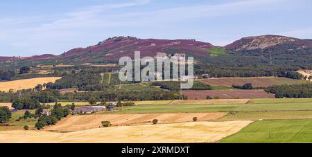 Dundee, Tayside, Schottland, Großbritannien. August 2024. Wetter in Großbritannien: Die warme August-Sonne bietet einen herrlichen Blick auf Dundee Sidlaw Hills und Strathmore Valley in Schottland. Quelle: Dundee Photographics/Alamy Live News Stockfoto