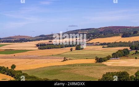 Dundee, Tayside, Schottland, Großbritannien. August 2024. Wetter in Großbritannien: Die warme August-Sonne bietet einen herrlichen Blick auf Dundee Sidlaw Hills und Strathmore Valley in Schottland. Quelle: Dundee Photographics/Alamy Live News Stockfoto