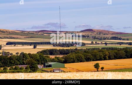 Dundee, Tayside, Schottland, Großbritannien. August 2024. Wetter in Großbritannien: Die warme August-Sonne bietet einen herrlichen Blick auf Dundee Sidlaw Hills und Strathmore Valley in Schottland. Quelle: Dundee Photographics/Alamy Live News Stockfoto