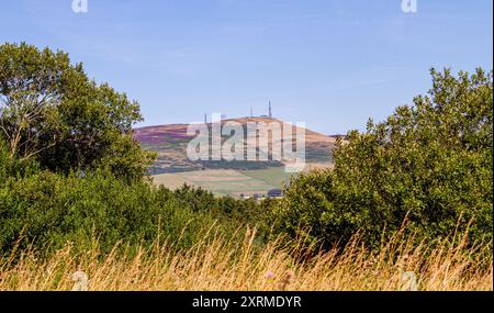 Dundee, Tayside, Schottland, Großbritannien. August 2024. Wetter in Großbritannien: Die warme August-Sonne bietet einen herrlichen Blick auf Dundee Sidlaw Hills und Strathmore Valley in Schottland. Quelle: Dundee Photographics/Alamy Live News Stockfoto