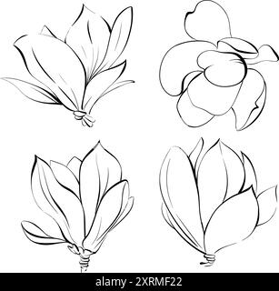 Satz von Vektorblume, Magnolienkontur. Paris Frühling, von Hand gezeichnete Linie. Botanische Illustration, Flora. Schwarze Silhouette für Schaltkreis Stock Vektor
