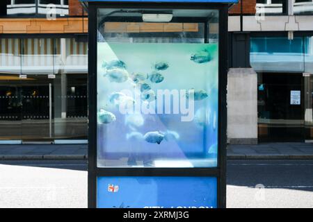 City of London, Großbritannien. August 2024. „Banksy“ Piranha-Fische erscheinen in London in einer Polizeibox in der Nähe der St. Paul's Cathedral. Quelle: Matthew Chattle/Alamy Live News Stockfoto