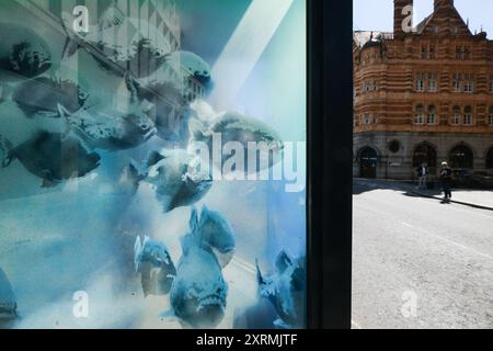 City of London, Großbritannien. August 2024. „Banksy“ Piranha-Fische erscheinen in London in einer Polizeibox in der Nähe der St. Paul's Cathedral. Quelle: Matthew Chattle/Alamy Live News Stockfoto