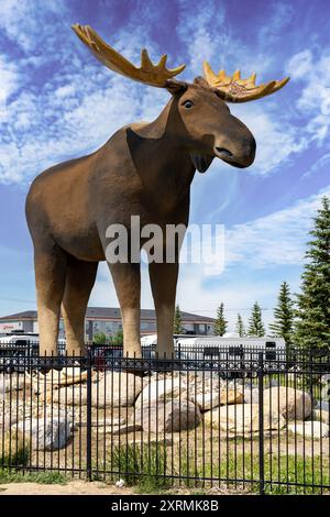 Elche Jaw Saskatchewan Canada, 19. Juli 2024: Berühmte Elchstatue, die während des Besucherinformationszentrums am Trans Canada Highway hoch steht Stockfoto