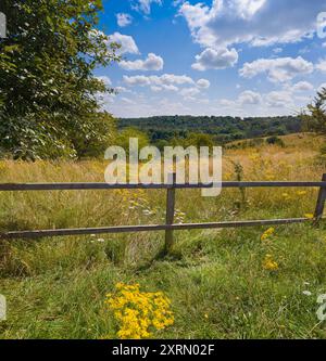 Ein Sommertag, Ivinghoe Beacon Hills, Bucks, Großbritannien, Stockfoto