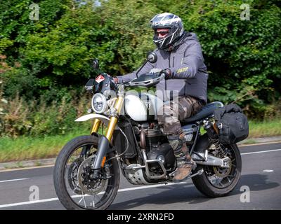 Potterspury, Northants, UK - 11. August 2024: Mann auf einem Triumph Scrambler 1200 Motorrad auf einer britischen Straße Stockfoto