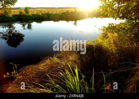 Die untergehende Sonne wirft ein warmes Licht über den Fluss und beleuchtet bewachsene Pflanzen entlang des ruhigen Wasserrandes. Stockfoto