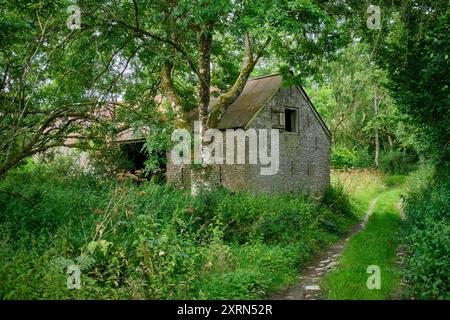 Verfallenes Gebäude in Burnt House, am Mortimer Trail, in der Nähe von Titley, Kington, Herefordshire Stockfoto