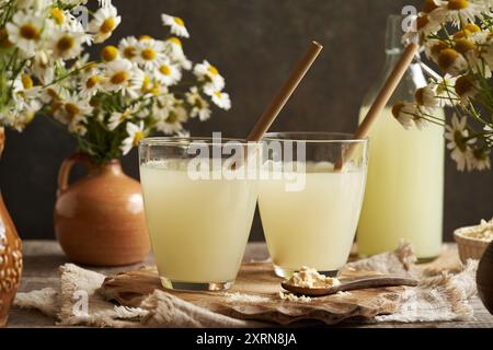 Frische natürliche Molke in zwei Gläsern mit ökologischen Bambushalmen Stockfoto