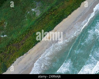 Drohnenblick auf die Wellen der Nordsee, die am Strand von Slettestrand, Jütland, Norddänemark brechen Stockfoto