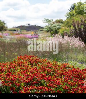 Borders with Helenium Flowers im RHS Wisley Garden, Großbritannien. Die Blumenbeete haben hauptsächlich mehrjährige Pflanzen in kontrastierenden Farben, entworfen von Piet Oudolf. Stockfoto