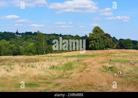 Hampstead Heath im Spätsommer, London, Großbritannien Stockfoto