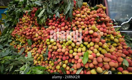 Reife Litschis, bereit zum Verkauf auf dem Markt. Lebhafte Farben und saftige süße Früchte. Litschi, Litchi Stockfoto