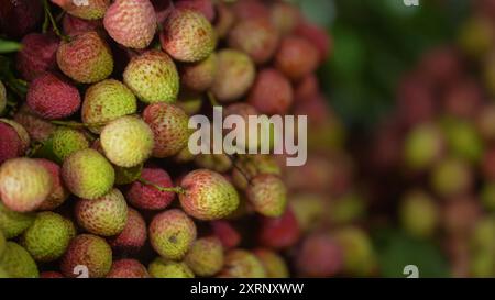 Reife Litschis, bereit zum Verkauf auf dem Markt. Lebhafte Farben und saftige süße Früchte. Litschi, Litchi Stockfoto