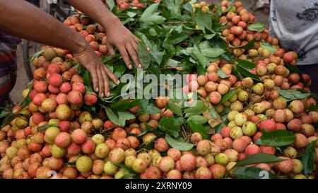 Reife Litschis, bereit zum Verkauf auf dem Markt. Lebhafte Farben und saftige süße Früchte. Litschi, Litchi Stockfoto